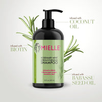 Mielle Organics Rosemary Mint Shampoo – Strengthens, Cleanses & Nourishes with Biotin (12 oz)